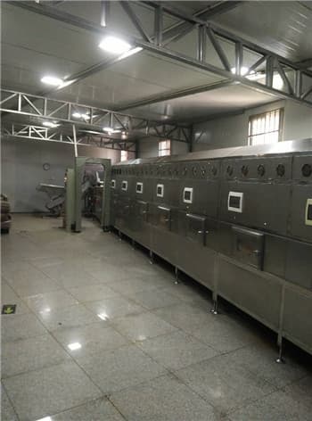 continuous ultrafine powder microwave drying equipment
